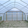 Natural style hotsell greenhouse film for tomato planting